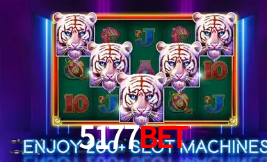 5177bet